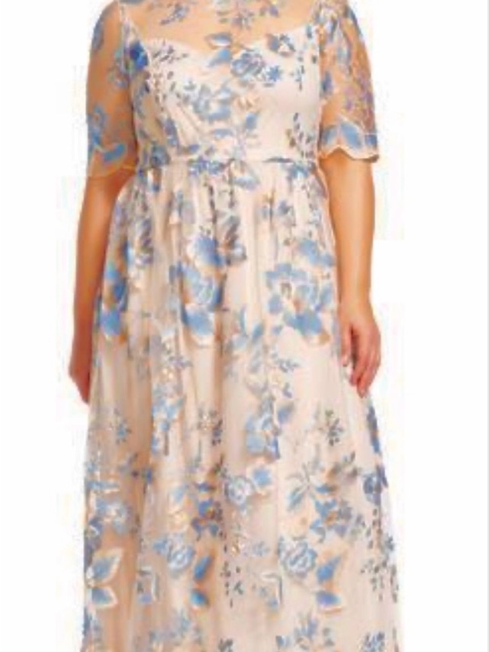 Adrianna Papell Long Illusion Embellished Mesh Gown, 18W